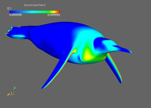 Aves - zobrazení dynamického tlaku Tab. 18: Zobrazení dynamického tlaku na modelu hesperornise (blok nahoře) a bazálního tučňáka (blok dole).