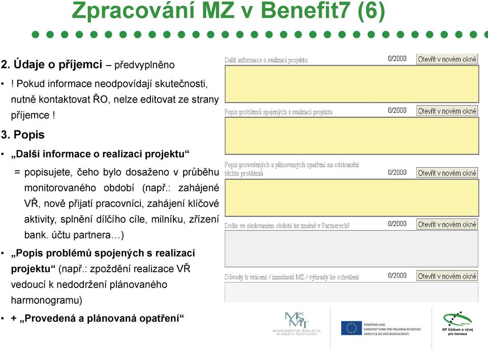 Popis Další informace o realizaci projektu = popisujete, čeho bylo dosaženo v průběhu monitorovaného období (např.