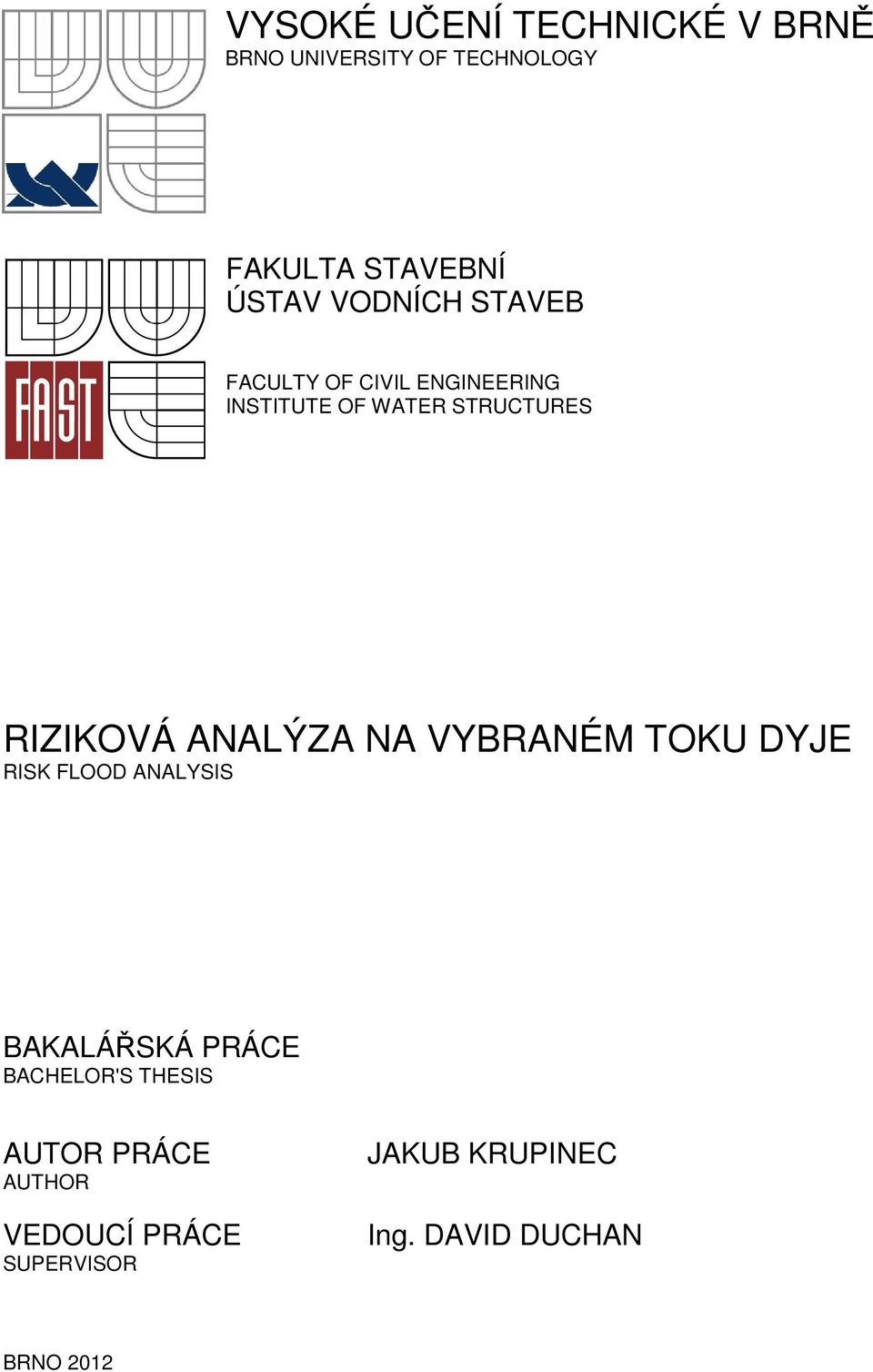 ANALÝZA NA VYBRANÉM TOKU DYJE RISK FLOOD ANALYSIS BAKALÁŘSKÁ PRÁCE BACHELOR'S THESIS