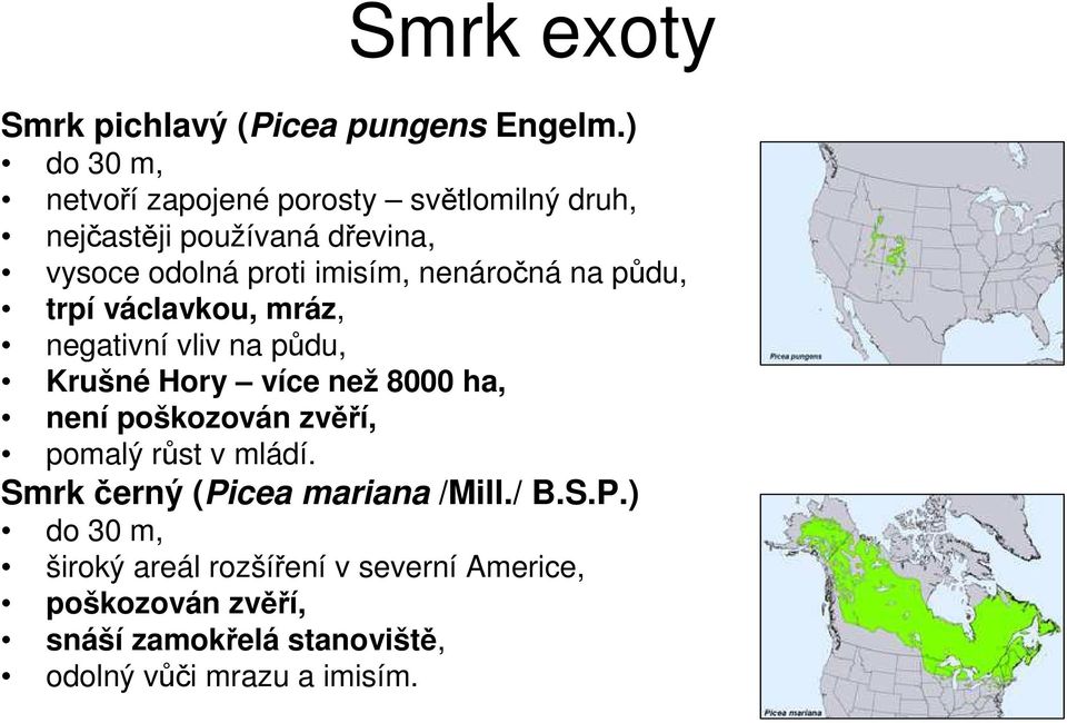 nenáročná na půdu, trpí václavkou, mráz, negativní vliv na půdu, Krušné Hory více než 8000 ha, není poškozován