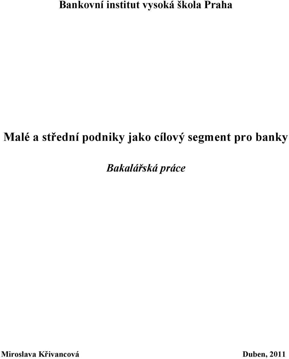 cílový segment pro banky