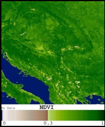 MODIS PŘÍKLAD PRODUKTU MODIS/Terra Vegetation Indices