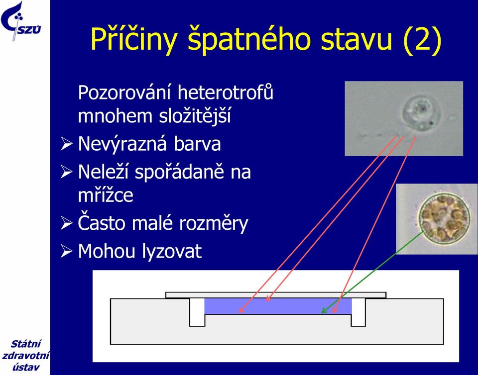 složitější Nevýrazná barva Neleží