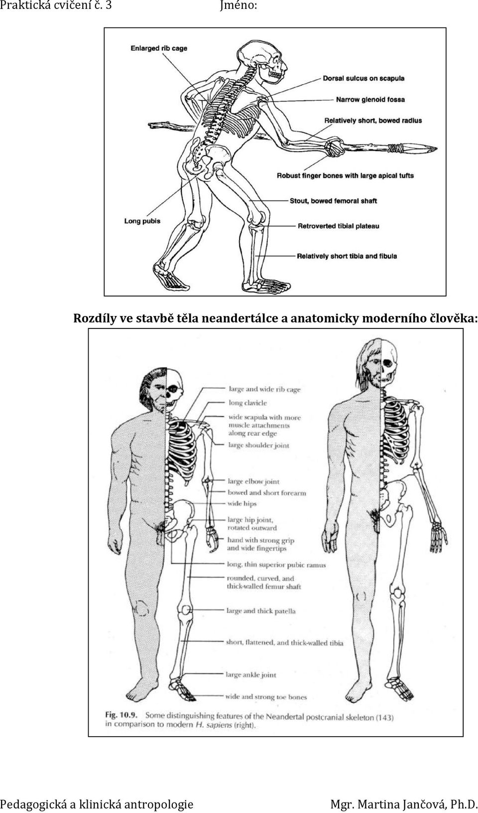 neandertálce a