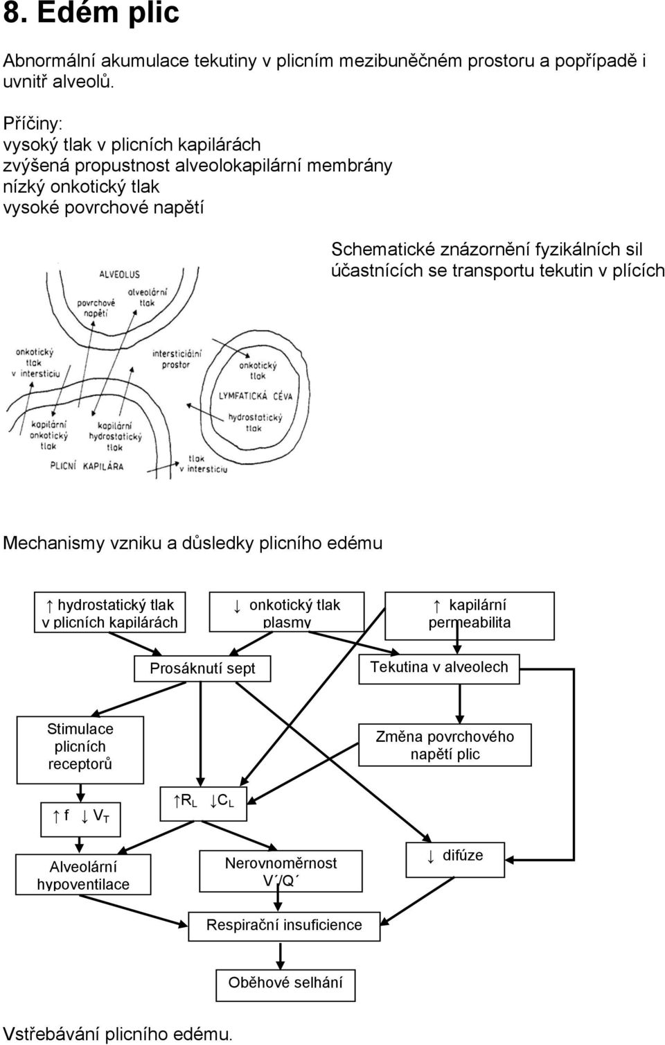 sil účastnících se transportu tekutin v plících Mechanismy vzniku a důsledky plicního edému hydrostatický tlak onkotický tlak kapilární v plicních kapilárách plasmy