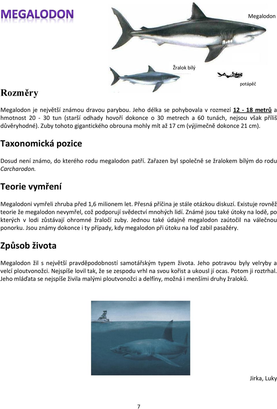 Zuby tohoto gigantického obrouna mohly mít až 17 cm (výjimečně dokonce 21 cm). Taxonomická pozice Dosud není známo, do kterého rodu megalodon patří.