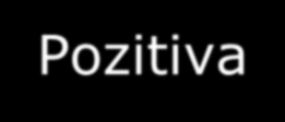 Podmínky úspěšnosti, výzvy a pozitiva Základní podmínkou je ztotožnění všech realizačních pracovníků s projektem. V projektu musí být ten, kdo chce a kdo umí.