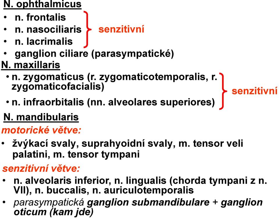 mandibularis motorické větve: žvýkací svaly, suprahyoidní svaly, m. tensor veli palatini, m. tensor tympani senzitivní větve: n.