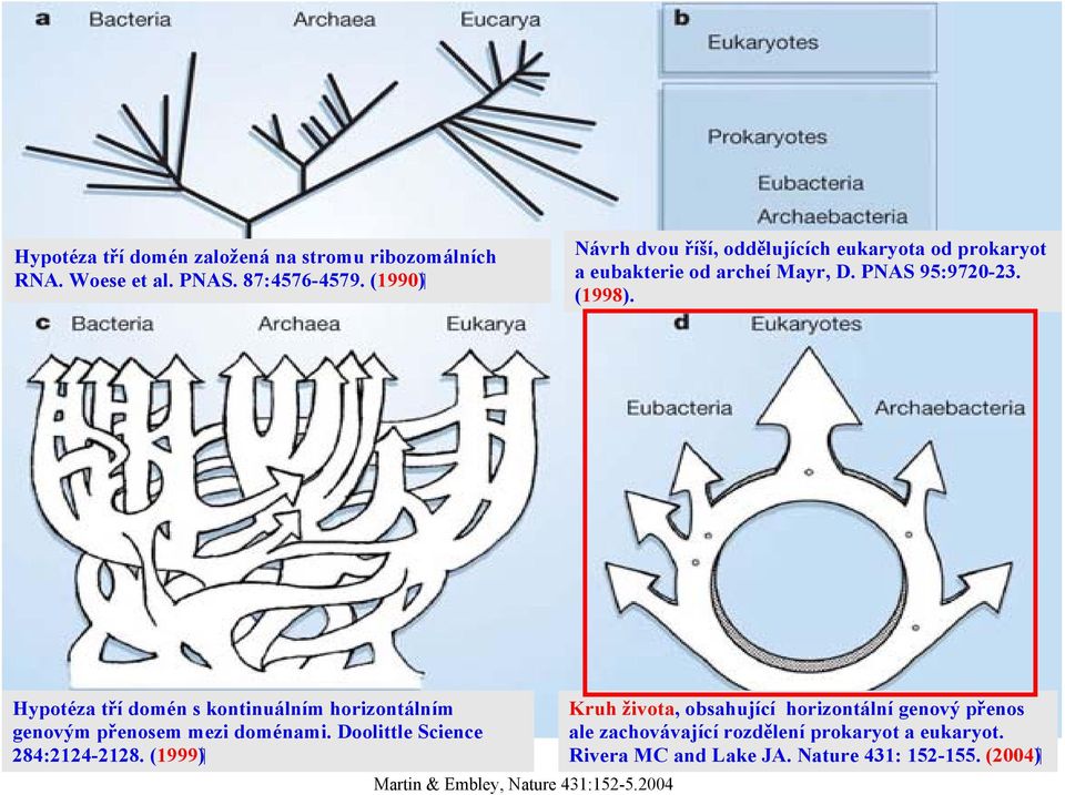 Hypotéza tří domén s kontinuálním horizontálním genovým přenosem mezi doménami. Doolittle Science ( 1999 ).