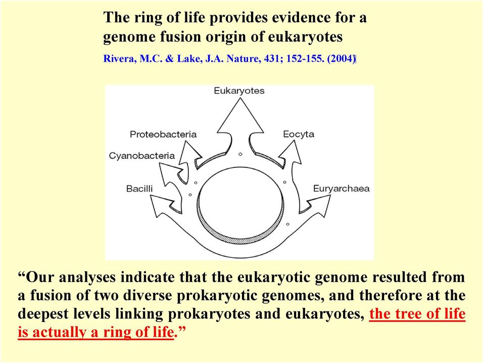 Our analyses indicate that the eukaryotic genome resulted from a fusion of two diverse