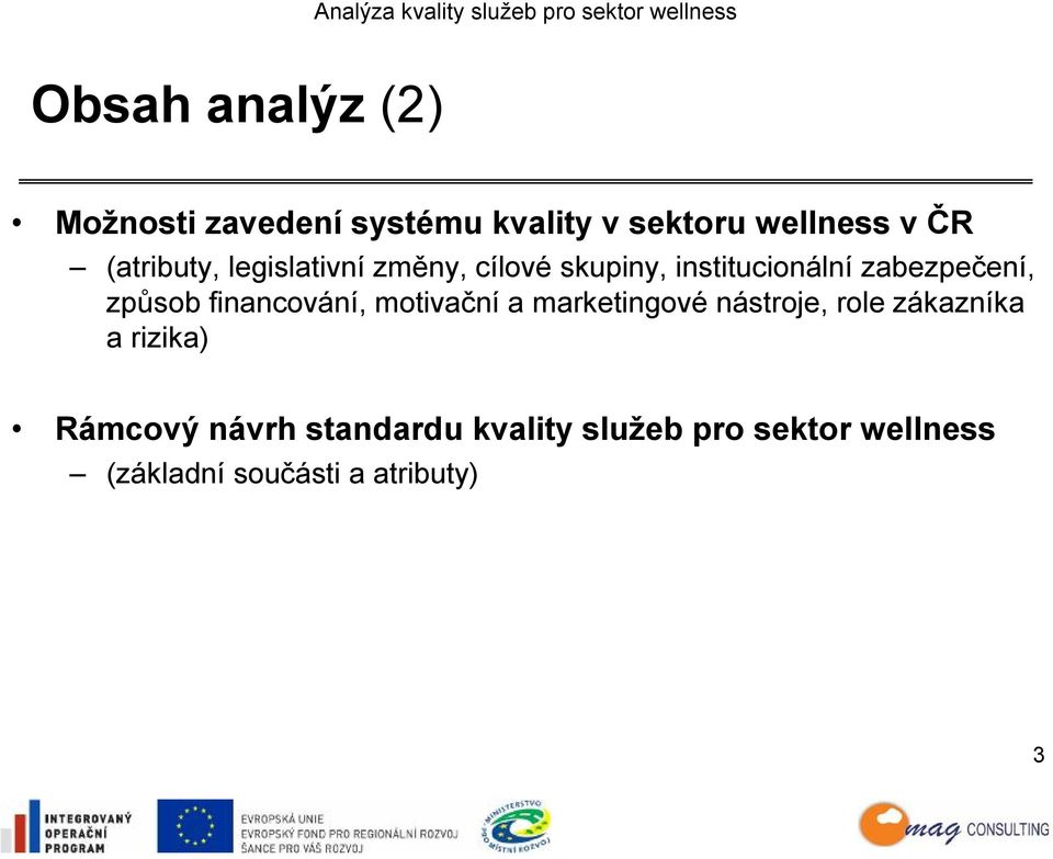 způsob financování, motivační a marketingové nástroje, role zákazníka a rizika)