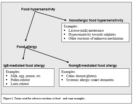 Obrázek 5. Pojmy užívané pro nepříznivé reakce na potraviny a některé příklady Zdroj: WHO, 2006 Je nesnášenlivost lepku imunologicky či neimunologicky podmíněné onemocnění?