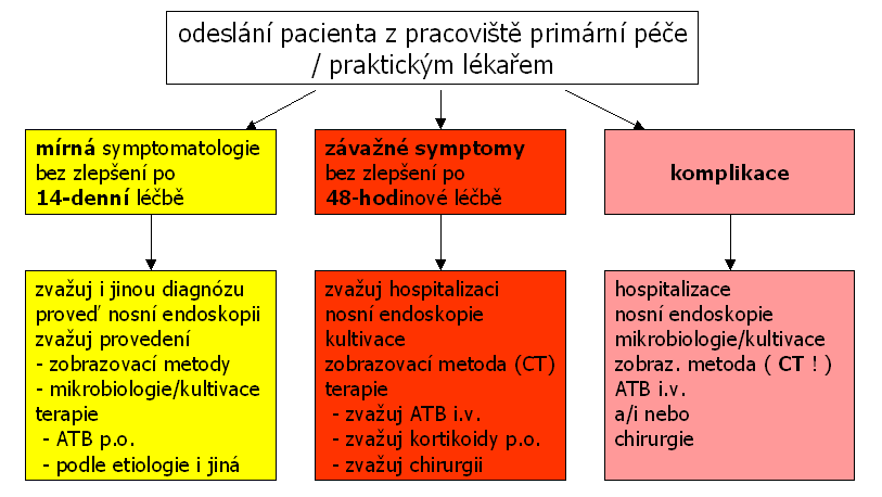 ATB p.o. Ia A ano, po 5 dnech, nebo u závažných případů lokální kortikosteroidy Ib A ano kombinace Ib A ano lok.kortikosteroidů a p.o. ATB kortikosteroidy p.o. Ib A ano, přispívají ke zmírnění bolesti u závažných případů antihistaminika p.