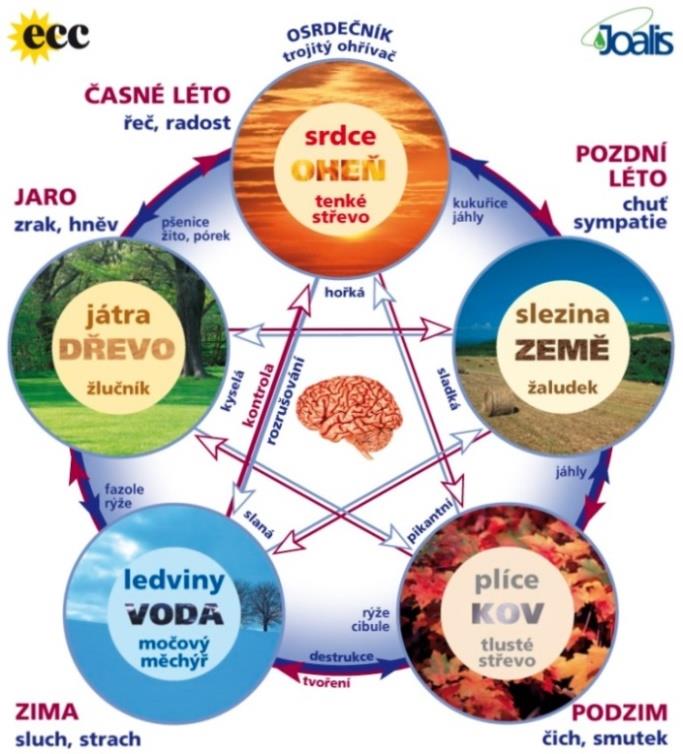 Detoxikace je cesta k radosti Pocit radosti vnímání toho, že můj život je v optimální rovnováze, jdu za svými cíli, životní procesy jsou plynulé, fyziologické pochody