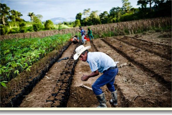 Společnost Danone v roce 2014 zřídila Livelihoods Fund for Family Farming" Fond živobytí pro rodinné farmy (Livelihoods 3F), když vycházela z přesvědčení, že existuje těsná souvislost mezi dlouhodobě