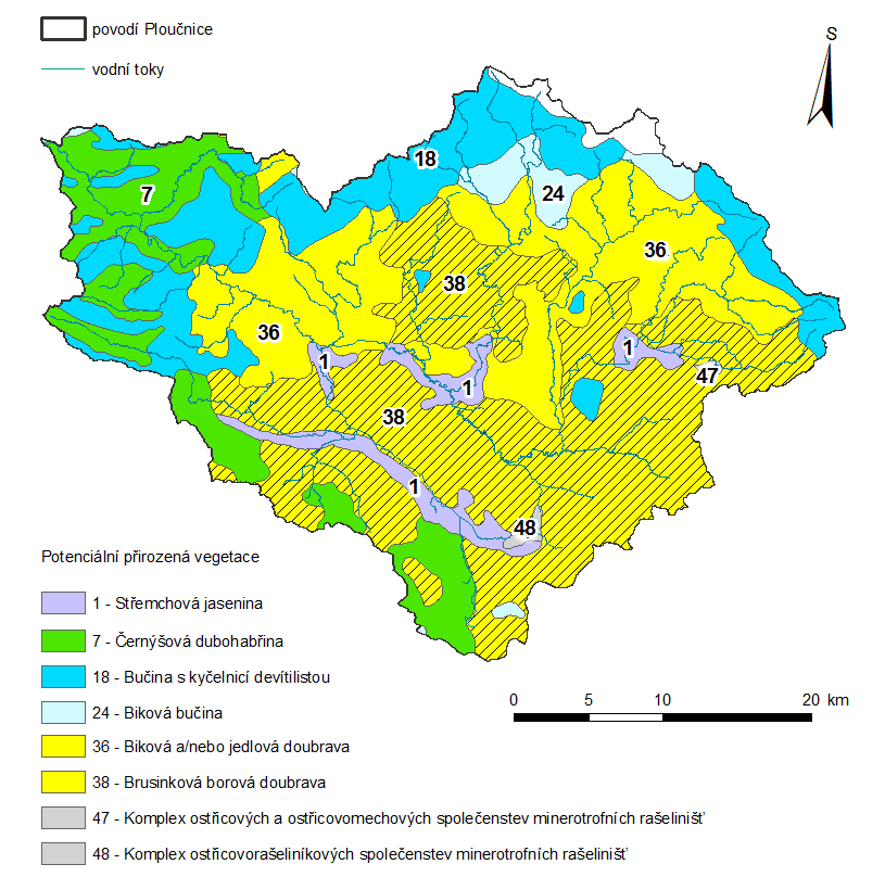 Obr. č. 13: Potenciální přirozená vegetace v povodí Ploučnice Zdroj: Neuhäuslová et al.