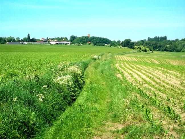 Obrázek 14 - Místo měření šířky příkopu V terénu je možné rozlišit několik typů příkopů: Vsakovací (vrstevnicově orientovaný, zachycuje povrchový odtok z výše položeného pozemku) Odváděcí Záchytný