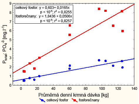 Graf 17.: Obsah fosforečnanů (PO 4-3 ) a průměrná denní krmná dávka v průběhu testování recirkulačního systému.