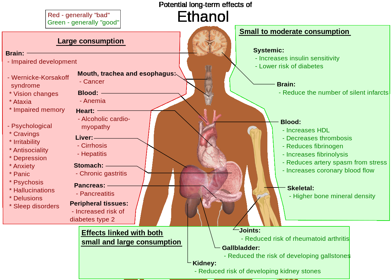 Alkohol Metabolismus probíhá v žaludku a zejména v játrech: ADH ALDH Malé množství je odstraněno mastnými kyselinami Acetaldehyd meziprodukt metabolismu způsobuje celou řadu zdravotních komplikací a