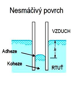 elevace), - při vypouklém stojí kapalina níže (kapilární deprese) Při elevaci zdvižený sloupec kapaliny h