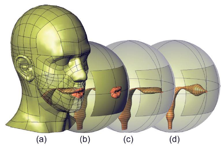 4.1.4 3D-výpočtový model vokálního traktu a prostoru okolo hlavy využívající metodu Perfectly Matched Layer (PML) V této publikaci se zkoumá vliv zjednodušení geometrie hlavy a rtů na šíření