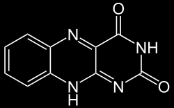 Název Pyrimidin Struktura N Biologicky významné deriváty Pyrimidinové báze (U,T,C) Fenobarbital Purin N N N N N H N N Vit.