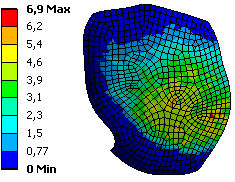 Lokace chrupavky 1 2 Max.hod. [MPa] Kontaktní tlak Max.hod. [MPa] 1 I mnohohranná menší člunkovitá 1.5/0.94 J mnohohranná menší hlavatá 0.16/0.