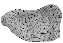12.1.5.1 Konečno prvkový model chrupavky Plochy chrupavky, a jejich související křivky na dvou protilehlých plochách, byly nejprve sjednoceny v softwaru Ansys Workbench, za pomoci Virtual Topology.