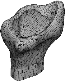 12.2.7.2 Konečno prvkový model kortikální ní tkáně Plochy na vnitřní i vnější straně byly sjednoceny opět za pomoci Virtual topology a za použití elementu typu SOLID185, byla vytvořena pravidelná síť.