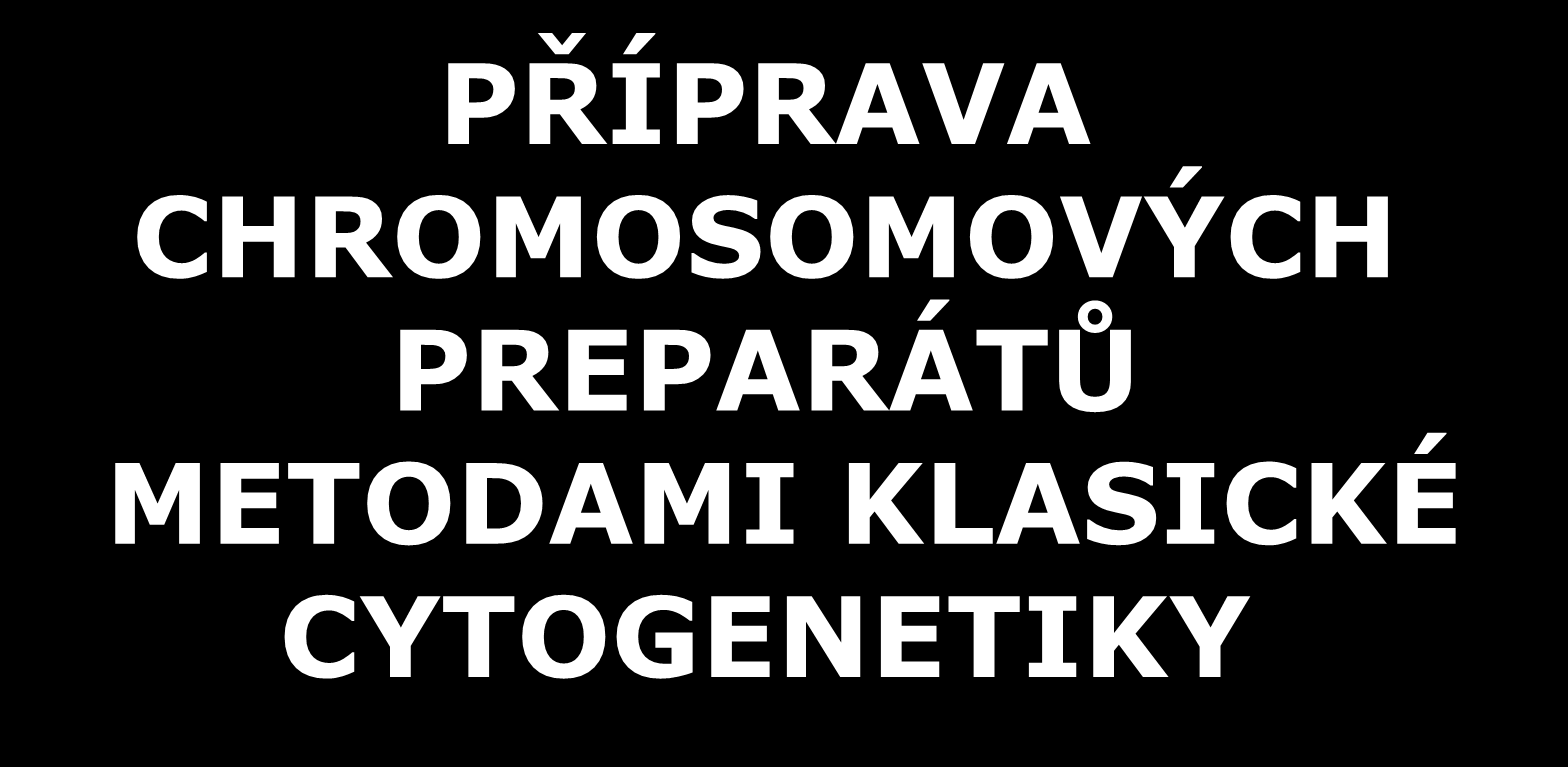 PREPARÁTŮ