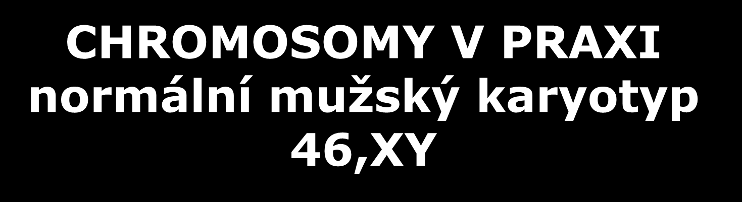 CHROMOSOMY V PRAXI normální mužský