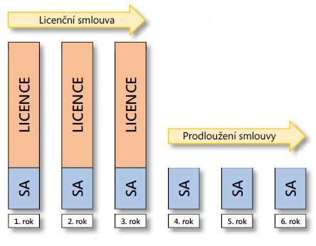 níže) tak není tak zcela proporčně vypovídající o cenovém poměru licence a služby SA.