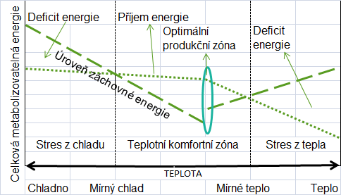 Prasničky nad 60 kg od 120 od 127 16 20 24 Prasnice - v laktaci - březí.... 11 11 16 16 21 21 Kanci.