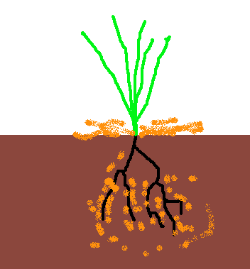 NPP zahrnuje přírůstek žívé nadzemní biomasy přírůstek živé podzemní biomasy přírůstek mrtvé biomasy, nadzemní i podzemní včetně té která se ve sledovaném