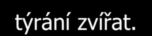 Fáze truchlení dětí a dospívajících 1) Odmítání - nechci-to Dítě odmítá uvěřit, ţe někdo zemřel.