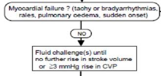 STEP 3 = HYPOVOLEMIE?