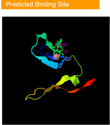 I-TASSER http://zhanglab.ccmb.med.umich.