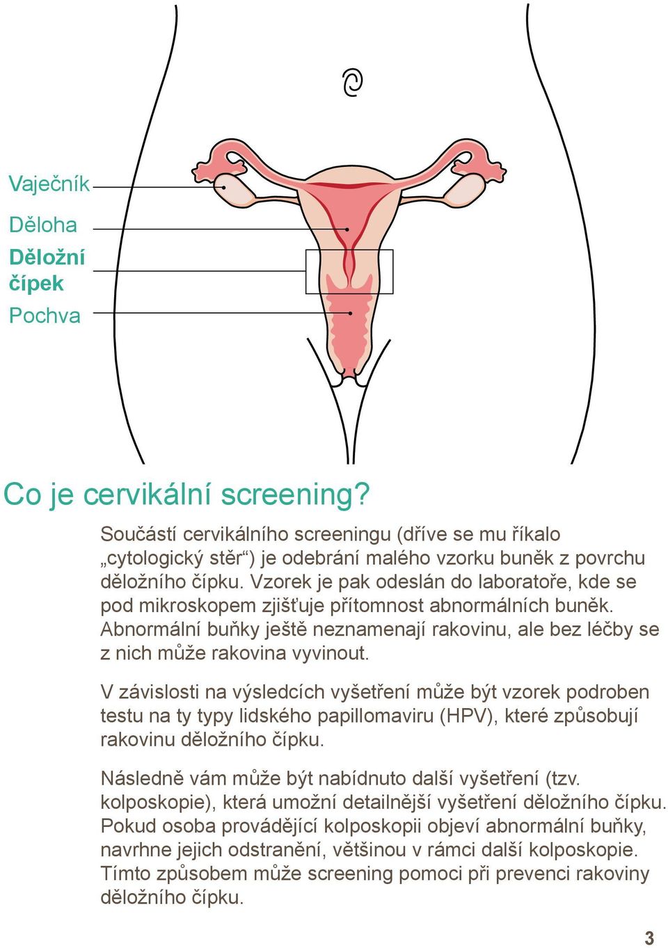 V závislosti na výsledcích vyšetření může být vzorek podroben testu na ty typy lidského papillomaviru (HPV), které způsobují rakovinu děložního čípku.