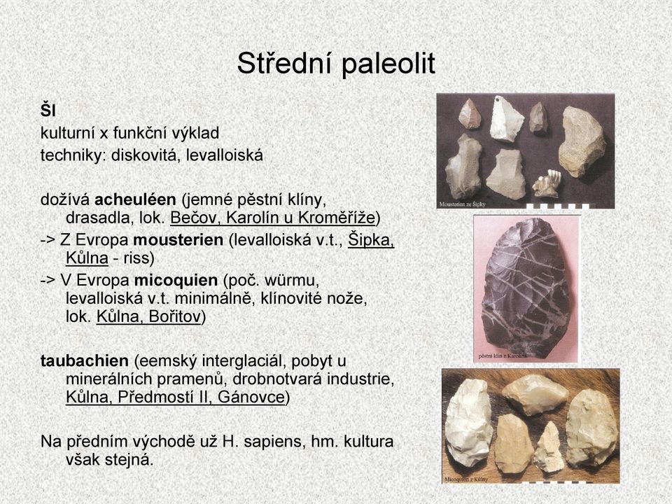 würmu, levalloiská v.t. minimálně, klínovité noţe, lok.