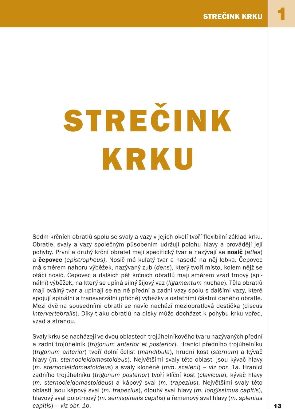 Nosič má kulatý tvar a nasedá na něj lebka. Čepovec má směrem nahoru výběžek, nazývaný zub (dens), který tvoří místo, kolem nějž se otáčí nosič.