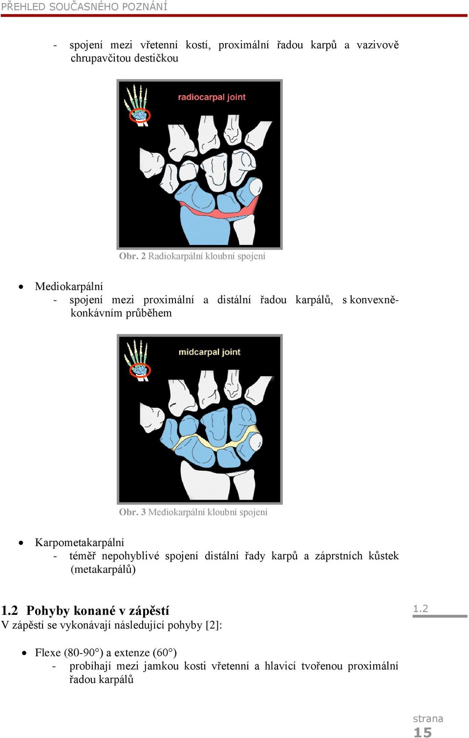 3 Mediokarpální kloubní spojení Karpometakarpální - téměř nepohyblivé spojení distální řady karpů a záprstních kůstek (metakarpálů) 1.