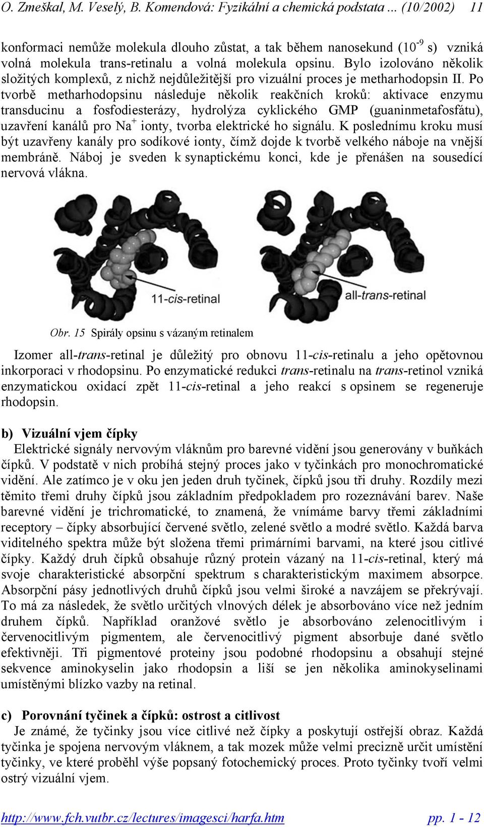 Po tvorbě metharhodopsinu následuje několik reakčních kroků: aktivace enzymu transducinu a fosfodiesterázy, hydrolýza cyklického GMP (guaninmetafosfátu), uzavření kanálů pro Na + ionty, tvorba