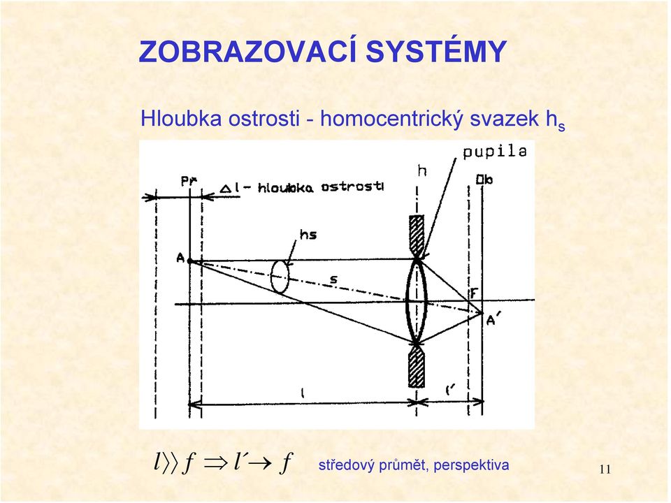 homocentrický svazek h s