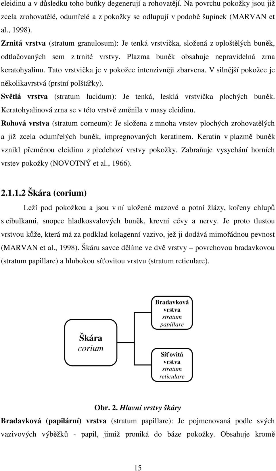 Tato vrstvička je v pokožce intenzivněji zbarvena. V silnější pokožce je několikavrstvá (prstní polštářky). Světlá vrstva (stratum lucidum): Je tenká, lesklá vrstvička plochých buněk.