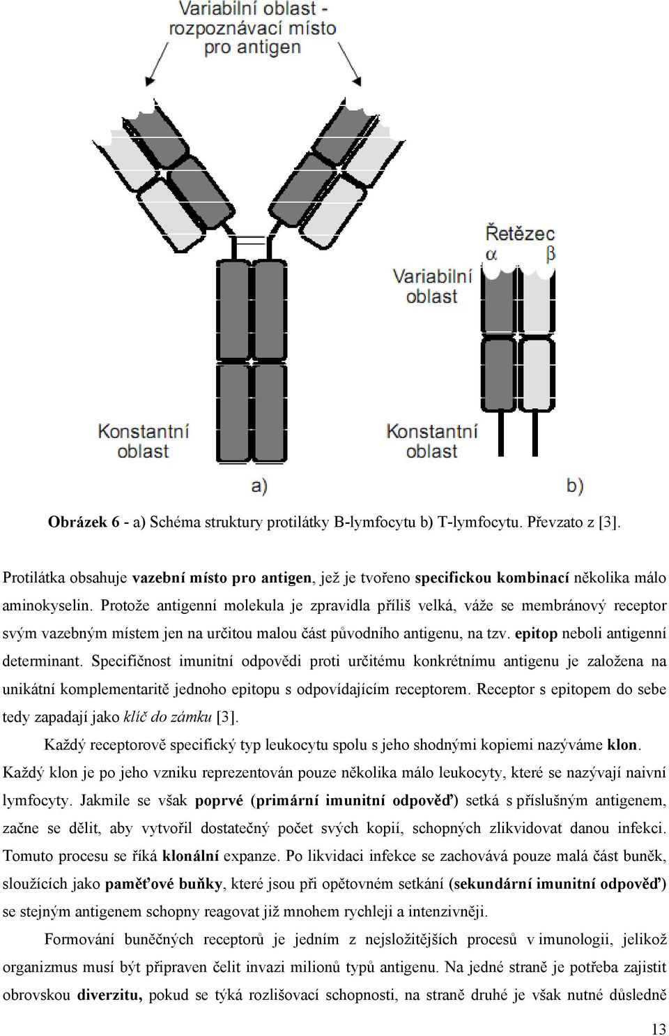 Specifičnost imunitní odpovědi proti určitému konkrétnímu antigenu je založena na unikátní komplementaritě jednoho epitopu s odpovídajícím receptorem.