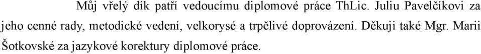 vedení, velkorysé a trpělivé doprovázení.