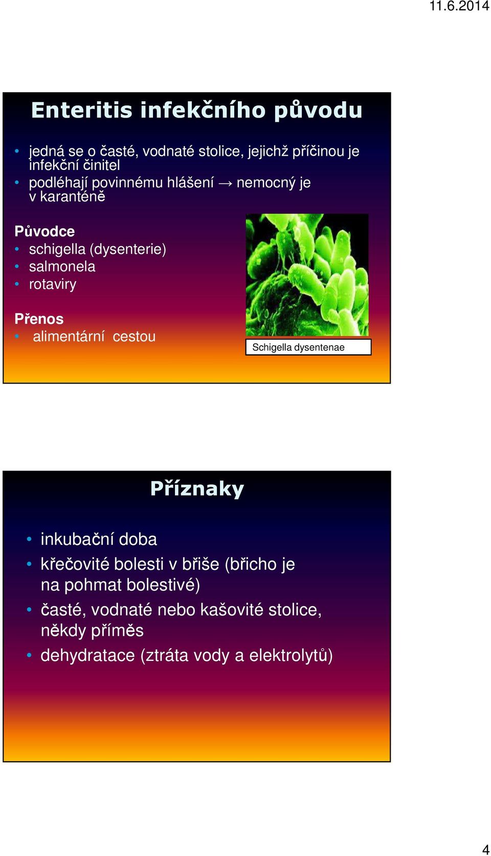 Přenos alimentární cestou Schigella dysentenae Příznaky inkubační doba křečovité bolesti v břiše (břicho