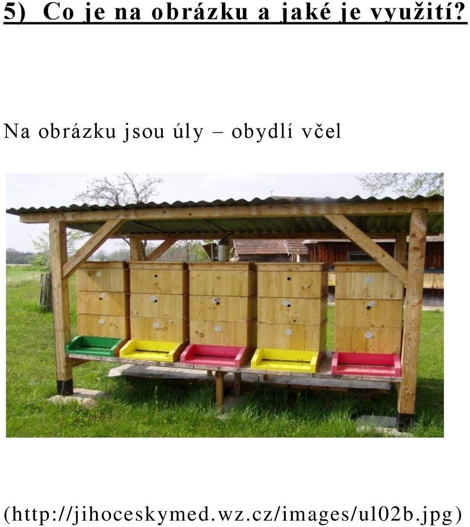 Na obrázku jsou úly obydlí