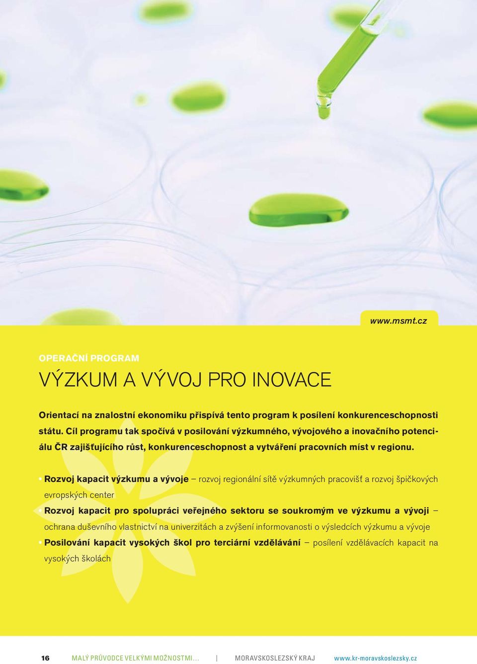 Rozvoj kapacit výzkumu a vývoje rozvoj regionální sítě výzkumných pracovišť a rozvoj špičkových evropských center Rozvoj kapacit pro spolupráci veřejného sektoru se soukromým ve výzkumu a vývoji