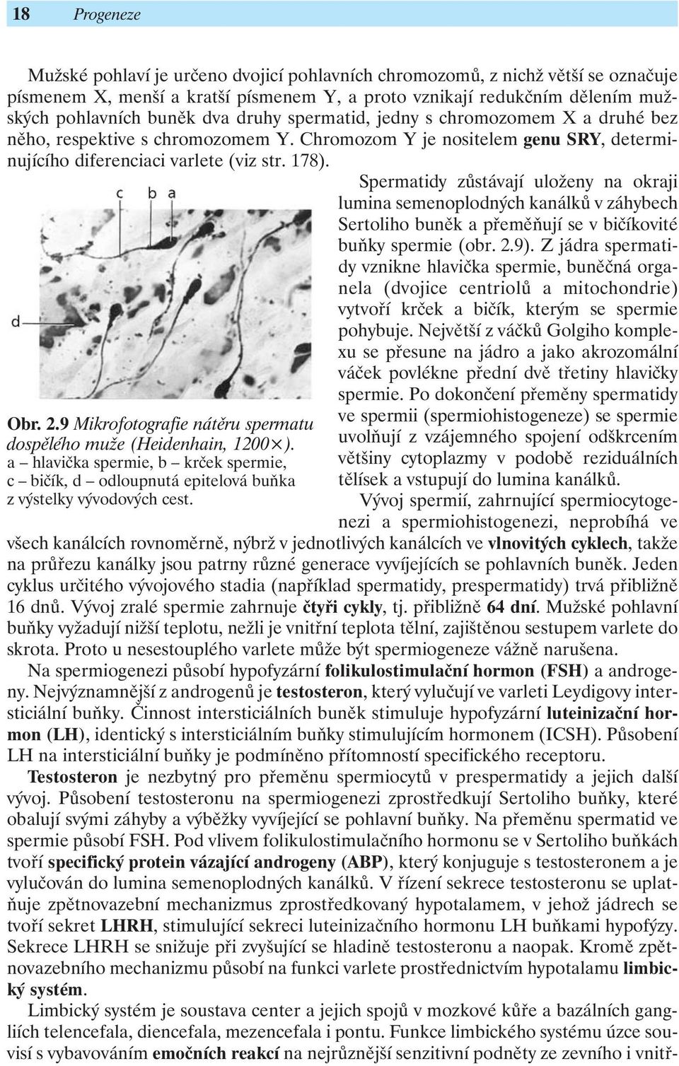 Spermatidy zůstávají uloženy na okraji lumina semenoplodných kanálků v záhybech Sertoliho buněk a přeměňují se v bičíkovité buňky spermie (obr. 2.9).